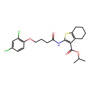 propan-2-yl 2-[4-(2,4-dichlorophenoxy)butanoylamino]-4,5,6,7-tetrahydro-1-benzothiophene-3-carboxylate structure