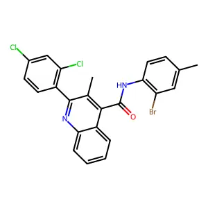N-(2-bromo-4-methylphenyl)-2-(2,4-dichlorophenyl)-3-methylquinoline-4-carboxamide structure
