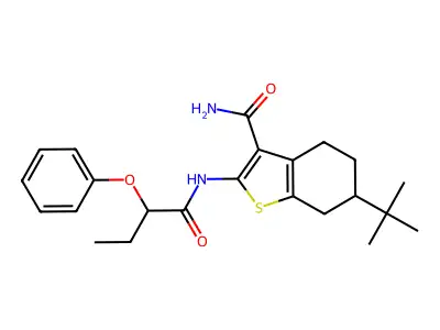 DivK1c_005573 structure