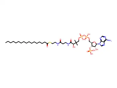 heptadecanoyl-CoA structure