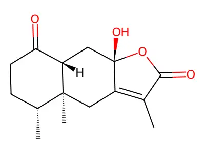 Istanbulin A structure