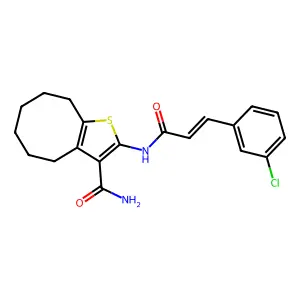 2-[[(E)-3-(3-chlorophenyl)prop-2-enoyl]amino]-4,5,6,7,8,9-hexahydrocycloocta[b]thiophene-3-carboxamide structure