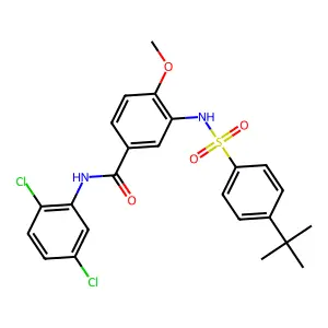 3-[(4-tert-butylphenyl)sulfonylamino]-N-(2,5-dichlorophenyl)-4-methoxybenzamide structure
