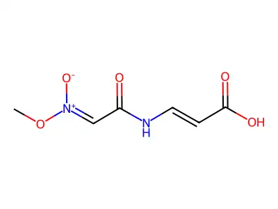 2-(2,2-Dimethylpropyl)-4,4-dimethylpentanoic acid structure