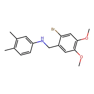 N-[(2-bromo-4,5-dimethoxyphenyl)methyl]-3,4-dimethylaniline structure