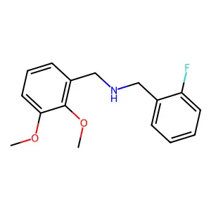 (2,3-Dimethoxybenzyl)(2-fluorobenzyl)amine structure
