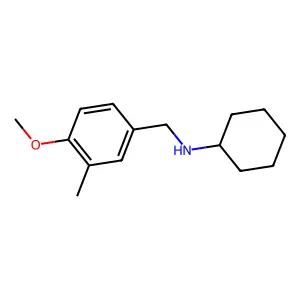 N-[(4-methoxy-3-methylphenyl)methyl]cyclohexanamine structure
