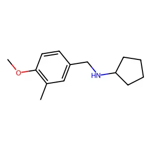 N-[(4-methoxy-3-methylphenyl)methyl]cyclopentanamine structure