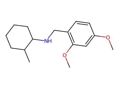 (2,4-Dimethoxybenzyl)(2-methylcyclohexyl)amine structure