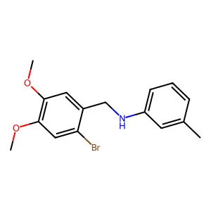 N-(2-bromo-4,5-dimethoxybenzyl)-3-methylaniline structure