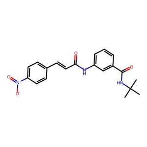 N-tert-butyl-3-[[(E)-3-(4-nitrophenyl)prop-2-enoyl]amino]benzamide structure
