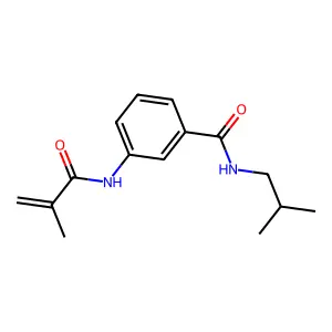 3-[(2-methylacryloyl)amino]-N-(2-methylpropyl)benzamide structure