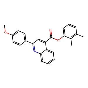 2,3-Dimethylphenyl 2-(4-methoxyphenyl)-4-quinolinecarboxylate structure