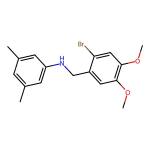 N-[(2-bromo-4,5-dimethoxyphenyl)methyl]-3,5-dimethylaniline structure