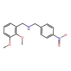 (2,3-dimethoxyphenyl)-N-(4-nitrobenzyl)methanamine structure