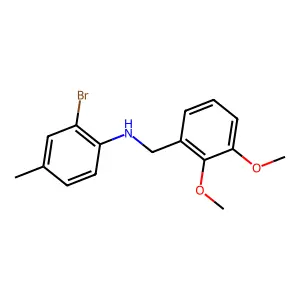 2-bromo-N-(2,3-dimethoxybenzyl)-4-methylaniline structure