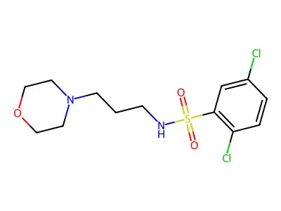 2,5-dichloro-N-(3-morpholin-4-ylpropyl)benzenesulfonamide structure