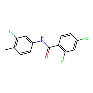 2,4-dichloro-N-(3-fluoro-4-methylphenyl)benzamide structure