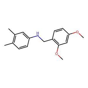 N-[(2,4-dimethoxyphenyl)methyl]-3,4-dimethylaniline structure