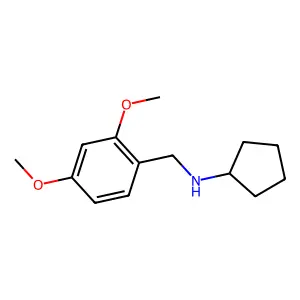 Cyclopentyl-(2,4-dimethoxy-benzyl)-amine structure