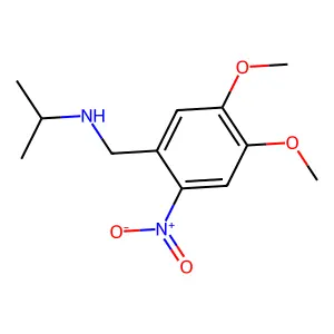 N-(4,5-dimethoxy-2-nitrobenzyl)propan-2-amine structure