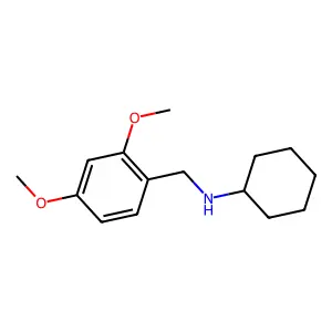 N-(2,4-dimethoxybenzyl)cyclohexanamine structure