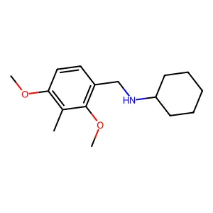 N-(2,4-dimethoxy-3-methylbenzyl)cyclohexanamine structure