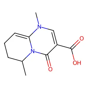 MZ 211 structure