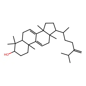 24-Methyleneagnosterol structure