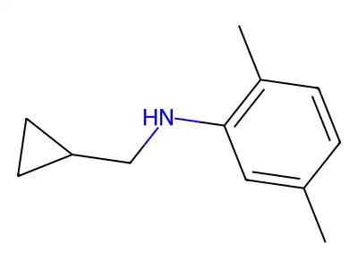 Cyclopropyl(2,5-dimethylphenyl)methanamine structure