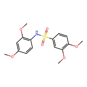 N-(2,4-dimethoxyphenyl)-3,4-dimethoxybenzenesulfonamide structure