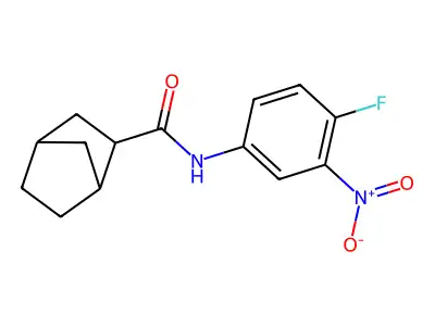 N-(4-fluoro-3-nitrophenyl)bicyclo[2.2.1]heptane-2-carboxamide structure