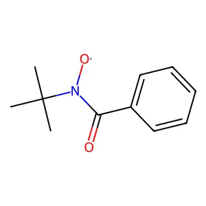 N-tert-Butylbenzamidooxy structure
