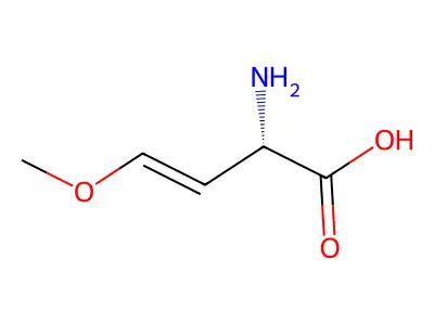 2-Amino-4-methoxybut-3-enoic acid structure
