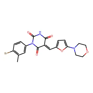 BIM-0043921.P001 structure
