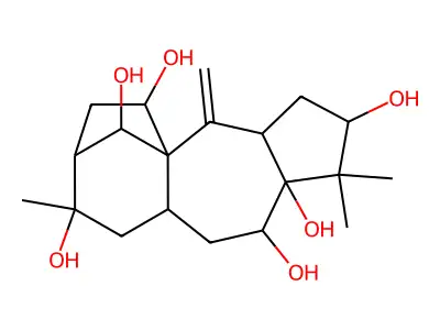 N-(2,4-二溴-5-甲氧基苯基)乙酰胺 structure
