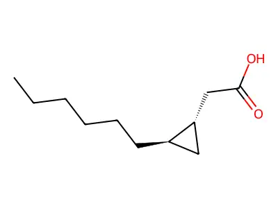 2-(2-Hexylcyclopropyl)acetic acid structure