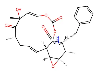细胞松弛素E structure