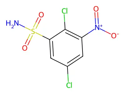 2,5-Dichloro-3-nitrobenzenesulfonamide structure