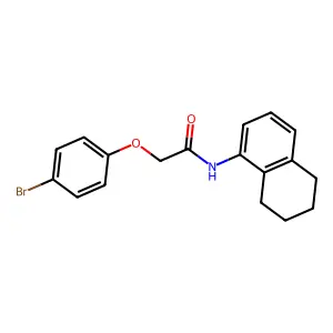2-(4-bromophenoxy)-N-(5,6,7,8-tetrahydronaphthalen-1-yl)acetamide structure