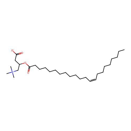 Erucylcarnitine structure