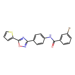 3-bromo-N-[4-(5-thiophen-2-yl-1,2,4-oxadiazol-3-yl)phenyl]benzamide structure