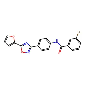 3-bromo-N-[4-[5-(furan-2-yl)-1,2,4-oxadiazol-3-yl]phenyl]benzamide structure