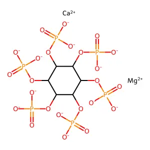 Phytin structure
