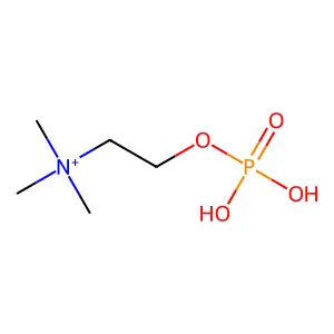 磷酸膽鹼 structure