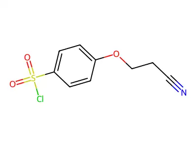 4-(2-cyanoethoxy)benzenesulfonyl Chloride structure