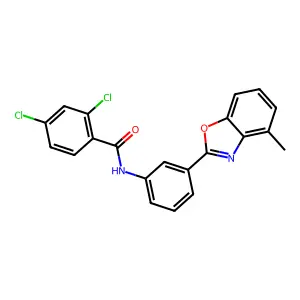 2,4-dichloro-N-[3-(4-methyl-1,3-benzoxazol-2-yl)phenyl]benzamide structure