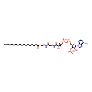 硬脂酰辅酶A structure