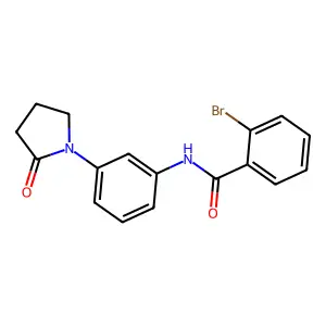 2-bromo-N-[3-(2-oxopyrrolidin-1-yl)phenyl]benzamide structure