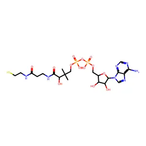 3'-脱磷酸辅酶A structure